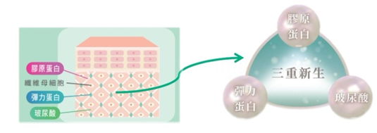 精靈電波三重新生機制圖
