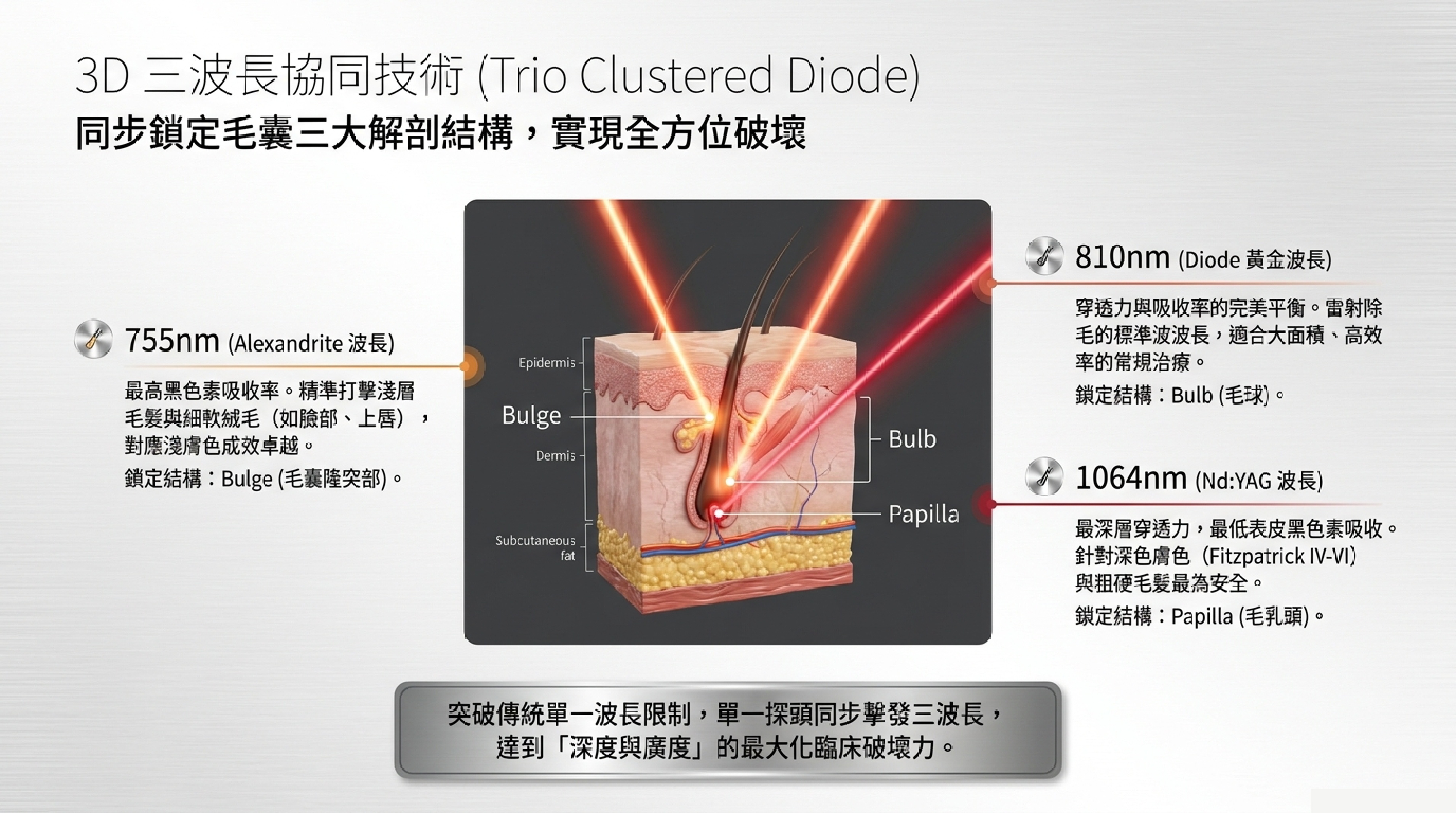 Soprano Titanium 3D 三波長協同技術 Trio Clustered Diode：755nm、810nm、1064nm 同步擊發毛囊三大解剖結構