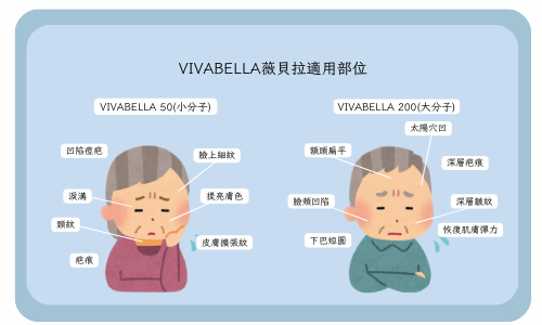 薇貝拉產品照